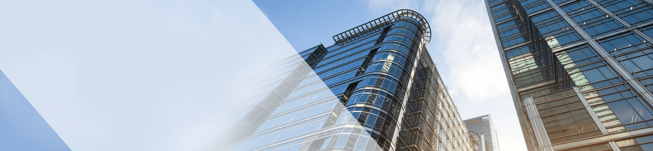 Company Overview Company Overview
